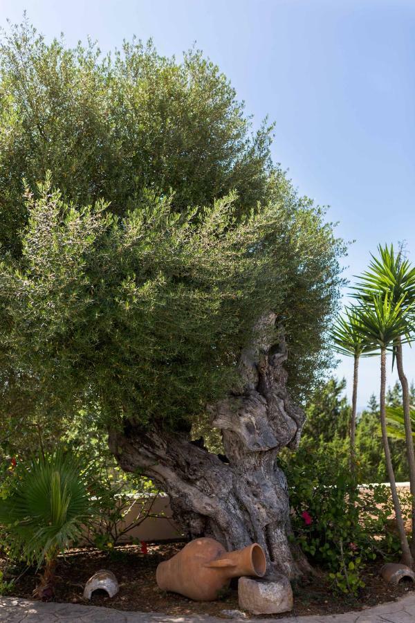 Villa Ca Na Vinya Cala Tarida  Exterior foto